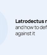 Latrodectus malware and how to defend against it with Wazuh