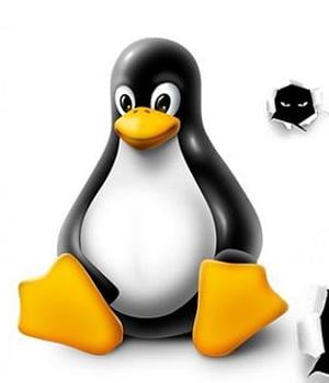 Linux Kernel Bug Opens Door to Wider Cyberattacks