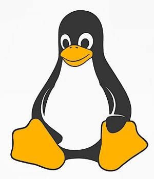 Looney Tunables: New Linux Flaw Enables Privilege Escalation on Major Distributions