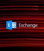 Microsoft Exchange updates pulled after breaking non-English installs