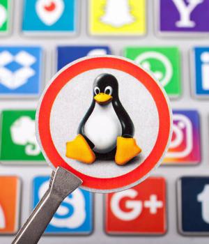 Microsoft sounds the alarm on — wait for it — a Linux botnet