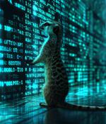 Muddling Meerkat hackers manipulate DNS using China’s Great Firewall