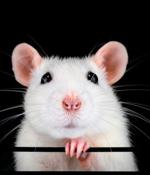 NanoCore RAT Scurries Past Email Defenses with .ZIPX Tactic