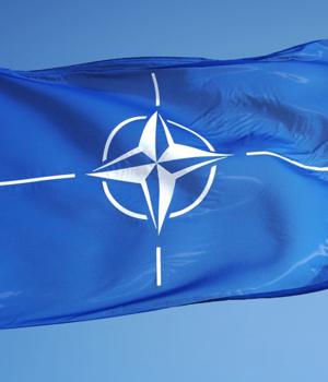 NATO probes hacktivist crew's boasts of stolen portal data