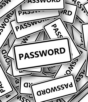 Never use your master password as a password on other accounts