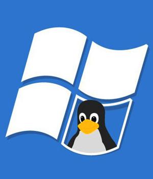 New Malware Targets Windows Subsystem for Linux to Evade Detection
