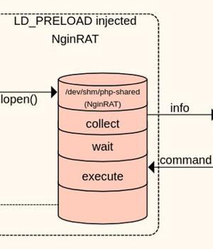 New Payment Data Stealing Malware Hides in Nginx Process on Linux Servers