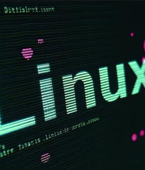 New Perfctl Malware Targets Linux Servers for Cryptocurrency Mining and Proxyjacking