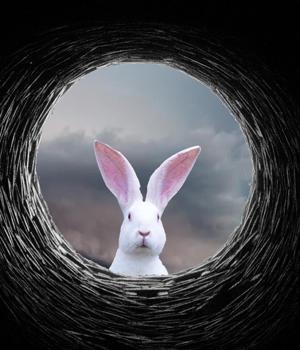 New White Rabbit ransomware linked to FIN8 hacking group