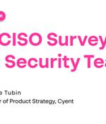 On-Demand Webinar: New CISO Survey Reveals Top Challenges for Small Cyber Security Teams