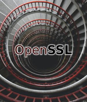 OpenSSL cert parsing bug causes infinite denial of service loop