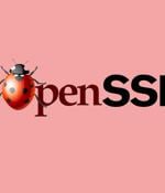 OpenSSL fixes High Severity data-stealing bug – patch now!