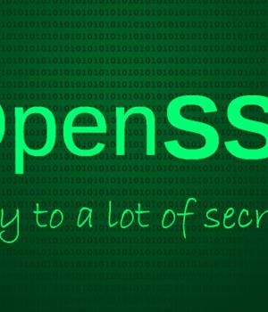 OpenSSL Releases Patch for 2 New High-Severity Vulnerabilities