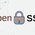 OpenSSL Releases Patches for 2 High-Severity Security Vulnerabilities