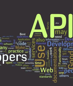 Predicting the Next OWASP API Security Top 10