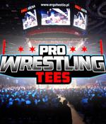 Pro Wrestling Tees discloses data breach after credit cards stolen