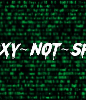 ProxyNotShell – the New Proxy Hell?