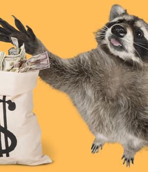 Racoon Stealer is Back — How to Protect Your Organization