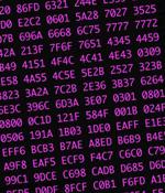 Researchers Uncover 'Pink' Botnet Malware That Infected Over 1.6 Million Devices