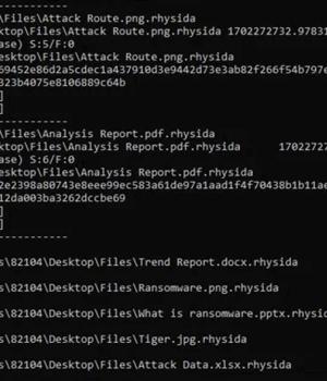 Rhysida Ransomware Cracked, Free Decryption Tool Released