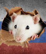 Russian organizations attacked with new Woody RAT malware