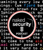 S3 Ep147: What if you type in your password during a meeting?