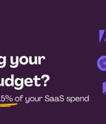 SaaS Budget Planning Guide for IT Professionals