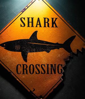 SharkBot malware hides as Android antivirus in Google Play