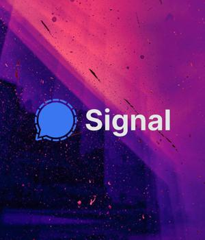 Signal now lets you report and block spam messages