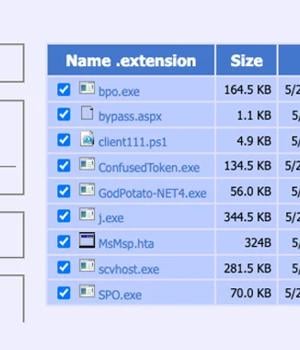 Silent Skimmer: A Year-Long Web Skimming Campaign Targeting Online Payment Businesses