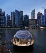 Singapore promises 'brutal and unrelentingly hard' action on dodgy crypto players