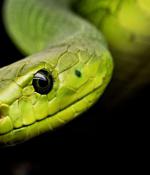 Snake malware biting hard on 50 apps for only $25