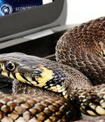 Sneaky SnakeKeylogger slithers into Windows inboxes to steal sensitive secrets