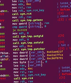 Symbiote: A Stealthy Linux Malware Targeting Latin American Financial Sector