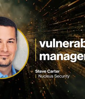 The effect of compliance requirements on vulnerability management strategies