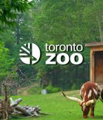 Toronto Zoo shares update on last year's ransomware attack