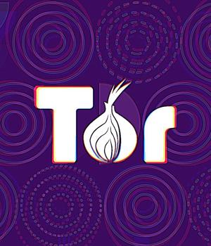 Tor’s new WebTunnel bridges mimic HTTPS traffic to evade censorship