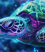 Turkish hackers Sea Turtle expand attacks to Dutch ISPs, telcos