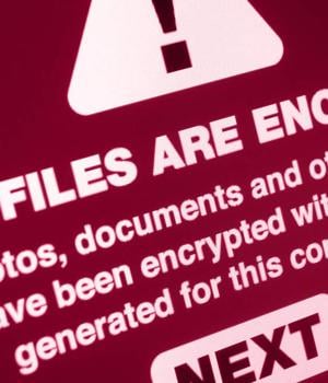 UK and US cops band together to tackle Qilin's ransomware shakedowns