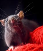 Ukraine supporters in Germany targeted with PowerShell RAT malware