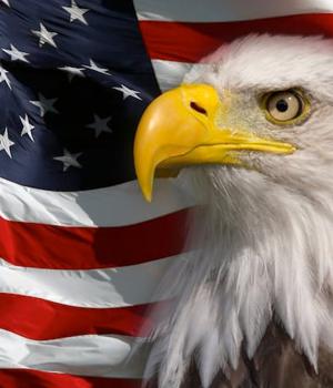 Uncle Sam kills funding for CVE program. Yes, that CVE program