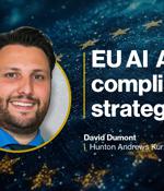 Understanding the AI Act and its compliance challenges