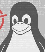 Unpatched Linux Marketplace Bugs Allow Wormable Attacks, Drive-By RCE