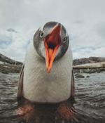 Watch out for any Linux malware sneakily evading syscall-watching antivirus
