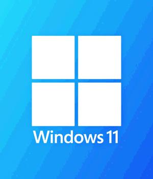 Windows 11 KB5025305 adds prioritized Windows updates setting
