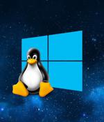 Windows Subsystem for Linux gets new 'mirrored' network mode
