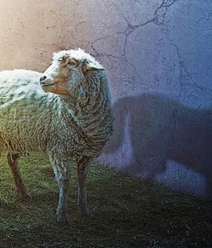 Wolf in sheep’s clothing: how malware tricks users and antivirus