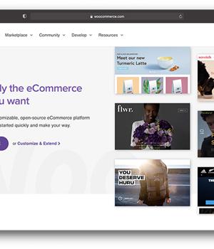 Zero-Day Attacks on Critical WooCommerce Bug Threaten Databases